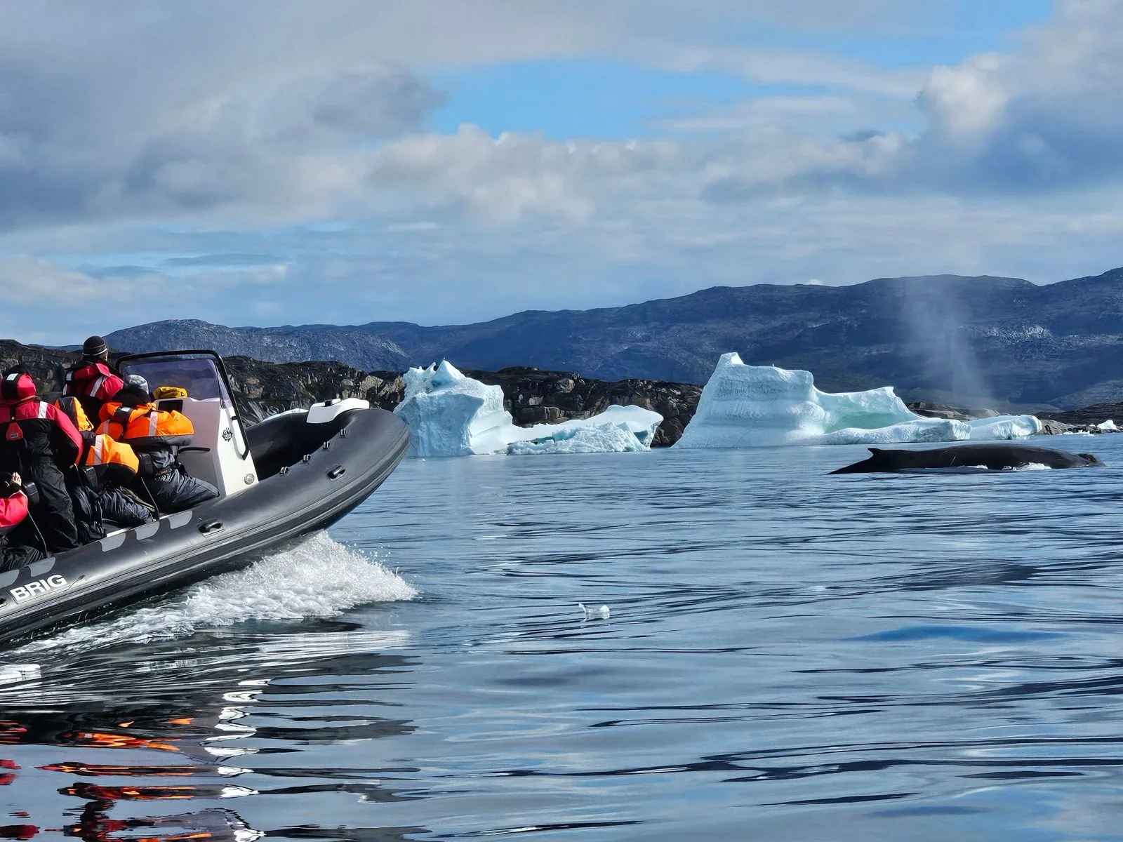 Expedition boat passing icebergs and a surfacing whale in Arctic waters